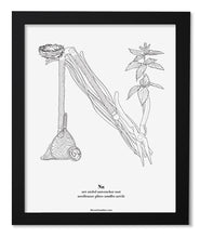 Load image into Gallery viewer, Letter N 8&quot;x10&quot; Print, Black Wooden Frame  ($40)
